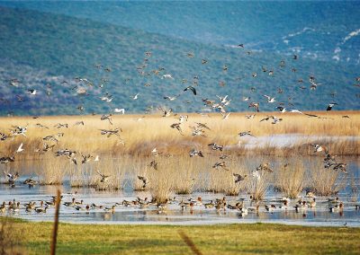 Nature Park Vransko Jezero